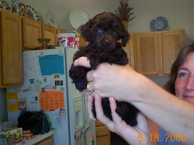 ./2000/Nigel/thumbDCP00173.JPG"