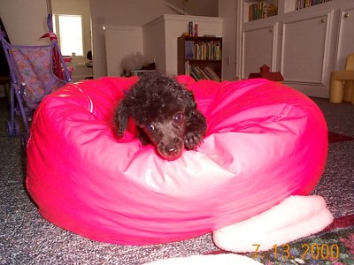 ./2000/Nigel/thumbDCP00175.JPG"