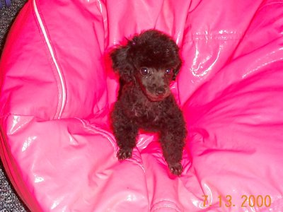 ./2000/Nigel/thumbDCP00180.JPG"