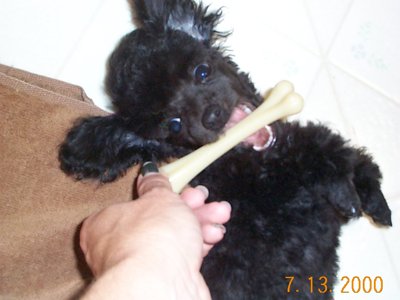 ./2000/Nigel/thumbDCP00209.JPG"