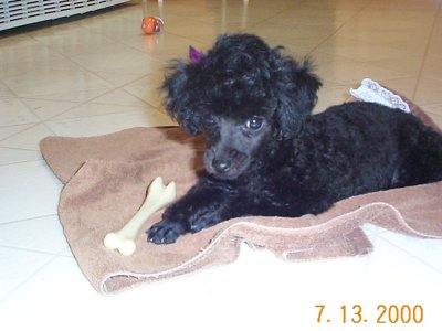 ./2000/Nigel/thumbDCP00211.JPG"