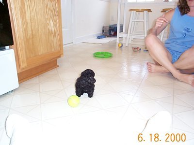 ./2000/Nigel/thumbthumbDCP00169.JPG"