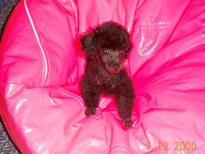 ./2000/Nigel/thumbthumbDCP00180.JPG"