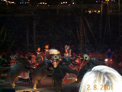 ./2001/Circus/thumbDCP00549.JPG"