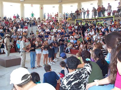 ./2003/Christmas/thumbDCP03356.JPG"