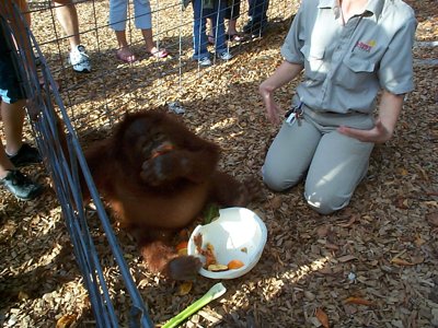 ./2003/Christmas/thumbDCP03370.JPG"