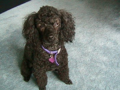 ./2004/Nigel/thumbIMG_0104.JPG"