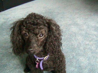 ./2004/Nigel/thumbIMG_0108.JPG"