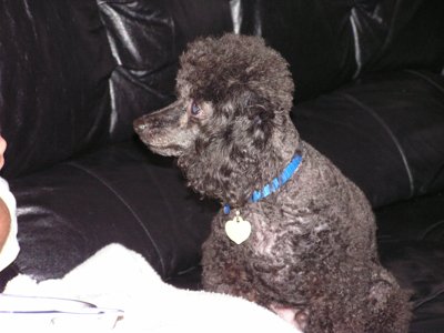 ./2004/Nigel/thumbNigel&Monica10-04-0016.jpg"