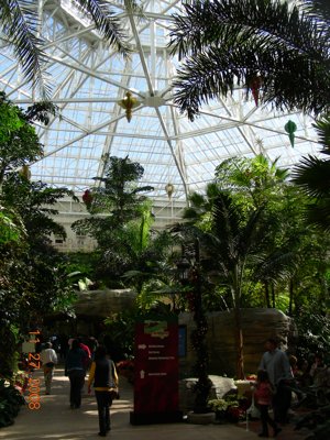 ./2008/Thanksgiving/Ice/thumbVDSCN4531.JPG"