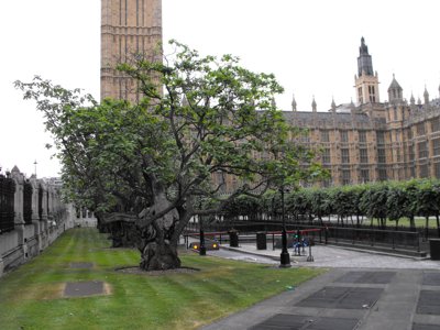 ./2009/Europe/thumb2SCF8149.jpg"