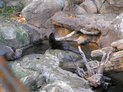 ./2010/Zoo/thumbDSCF5017.JPG"