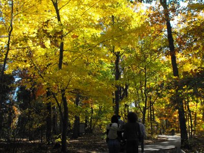 ./2010/Zoo/thumbDSCF5034.JPG"