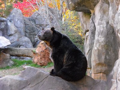 ./2010/Zoo/thumbDSCF5043.JPG"