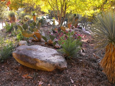 ./2010/Zoo/thumbDSCF5050.JPG"