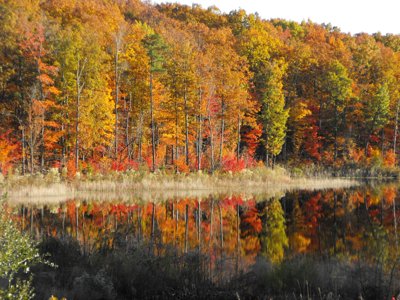 ./2010/Zoo/thumbDSCF5110.JPG"