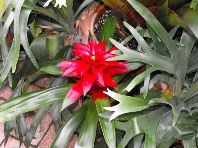 ./2011/Biltmore/thumbDSCF2214.JPG"