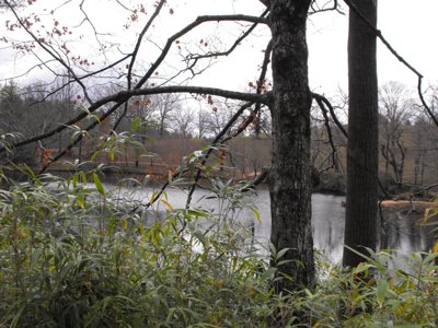 ./2011/Biltmore/thumbDSCF2266.JPG"