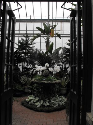 ./2011/Biltmore/thumbVDSCF2223.JPG"