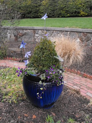 ./2011/Biltmore/thumbVDSCF2259.JPG"