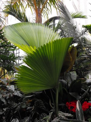 ./2011/Biltmore/thumbVDSCF2262.JPG"