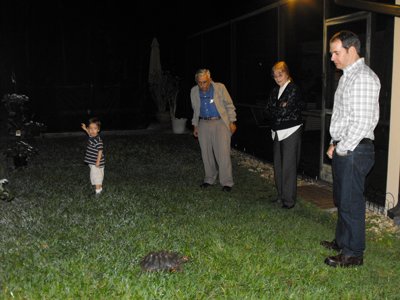 ./2011/Christmas/thumbDSCF2511.JPG"