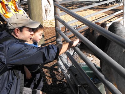 ./2011/Christmas/thumbDSCF2578.JPG"