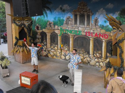 ./2011/Christmas/thumbDSCF2657.JPG"