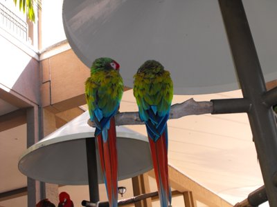 ./2011/Christmas/thumbDSCF2681.JPG"