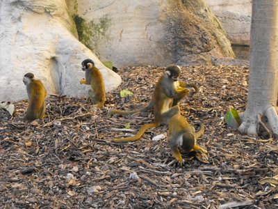 ./2011/Christmas/thumbDSCF2724.JPG"