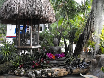 ./2011/Christmas/thumbDSCF2822.JPG"