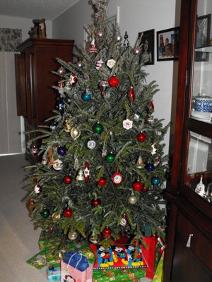 ./2011/Christmas/thumbVDSCF2465.JPG"