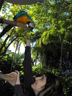 ./2011/Christmas/thumbVDSCF2694.JPG"