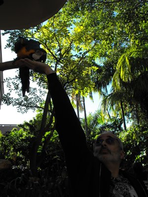 ./2011/Christmas/thumbVDSCF2699.JPG"