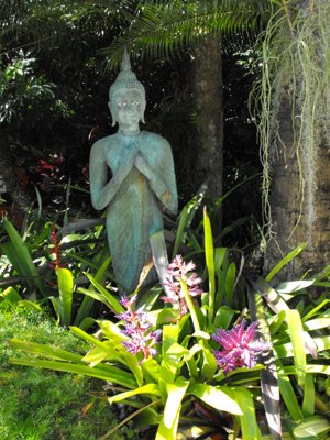 ./2011/Christmas/thumbVDSCF2817.JPG"