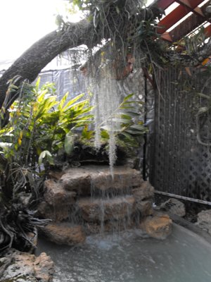 ./2011/Christmas/thumbVDSCF2821.JPG"