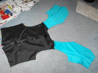 ./2011/Prom/thumbDSCF0248.JPG"