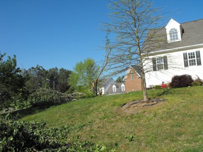 ./2011/Tornado/thumbDSCF0022.JPG"