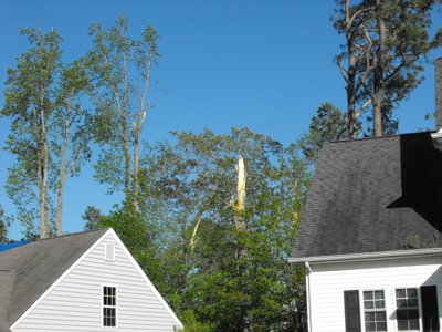 ./2011/Tornado/thumbDSCF0028.JPG"