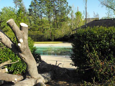 ./2011/Tornado/thumbDSCF0074.JPG"