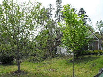 ./2011/Tornado/thumbDSCF0156.JPG"