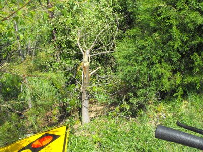 ./2011/Tornado/thumbDSCF0200.JPG"