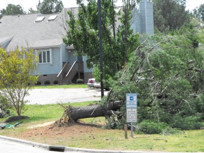 ./2011/Tornado/thumbDSCF0208.JPG"