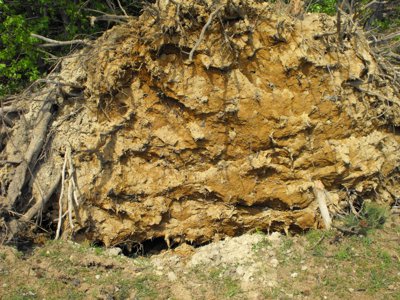 ./2011/Tornado/thumbDSCF0222.JPG"