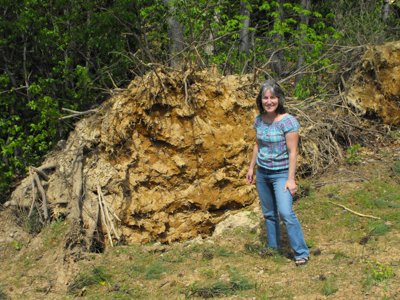 ./2011/Tornado/thumbDSCF0223.JPG"