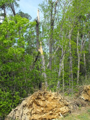 ./2011/Tornado/thumbVDSCF0220.JPG"