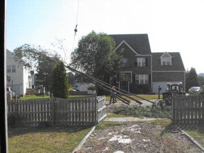 ./2011/Trees/thumbDSCF1261.JPG"