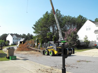 ./2011/Trees/thumbDSCF1263.JPG"