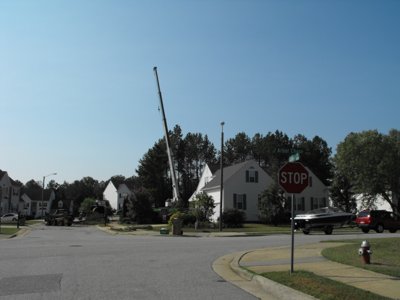 ./2011/Trees/thumbDSCF1266.JPG"