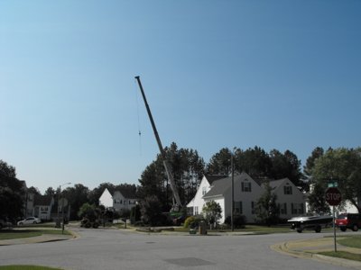 ./2011/Trees/thumbDSCF1267.JPG"